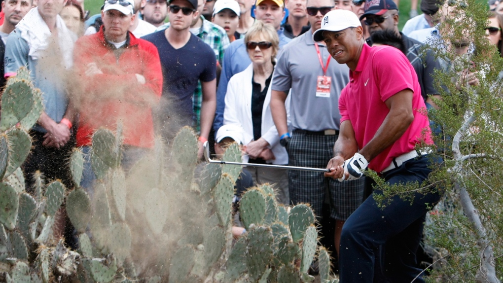 Tiger Woods at the Phoenix Open
