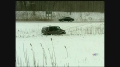 A number of vehicles were involved in collisions amid blowing snow along Highway 402 near Strathroy, Ont. on Friday, Jan. 30, 2015. (Gerry Dewan / CTV London)