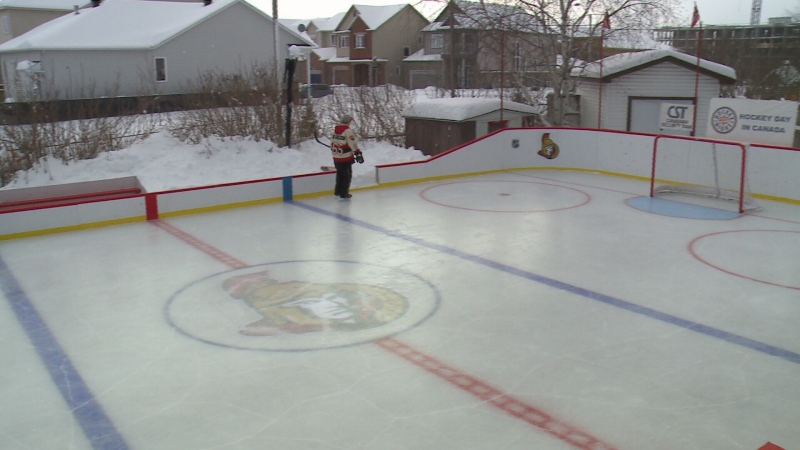 Willie Klentz built this authentic-looking rink in his backyard in Ottawa, Feb. 6, 2015