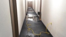 Hallway with water. Source: Crystal Macormack