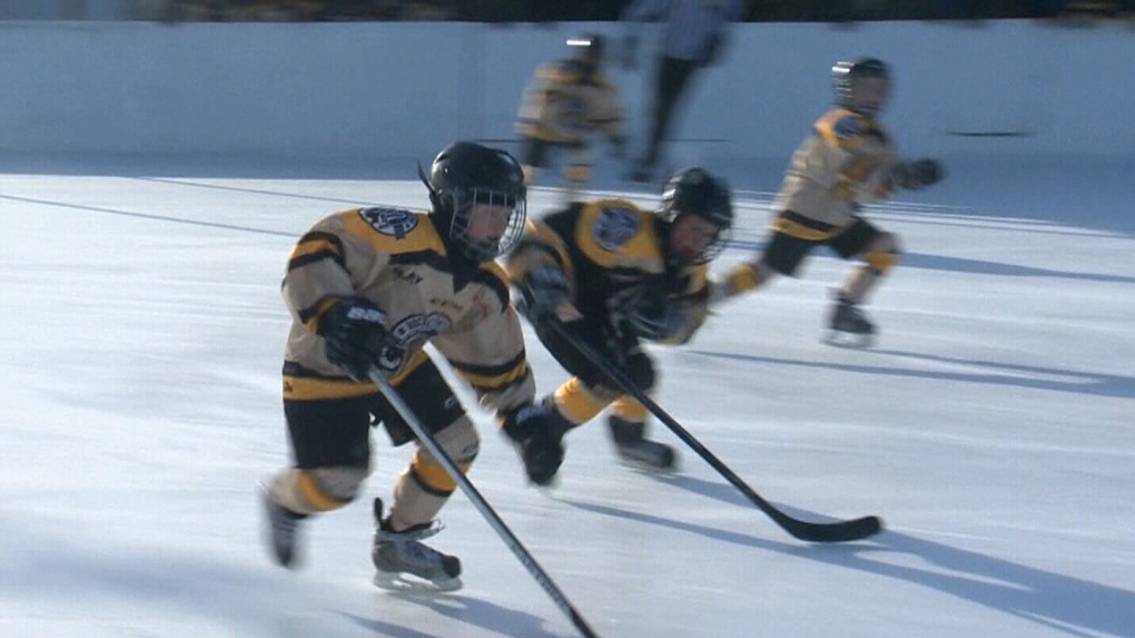 Respect in Sport program to be mandatory for hockey parents across province