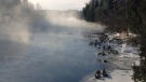 Geese look on as mist rises from the Speed River in Guelph on Monday, Feb. 16, 2015. (Jeff Turner / CTV Kitchener)