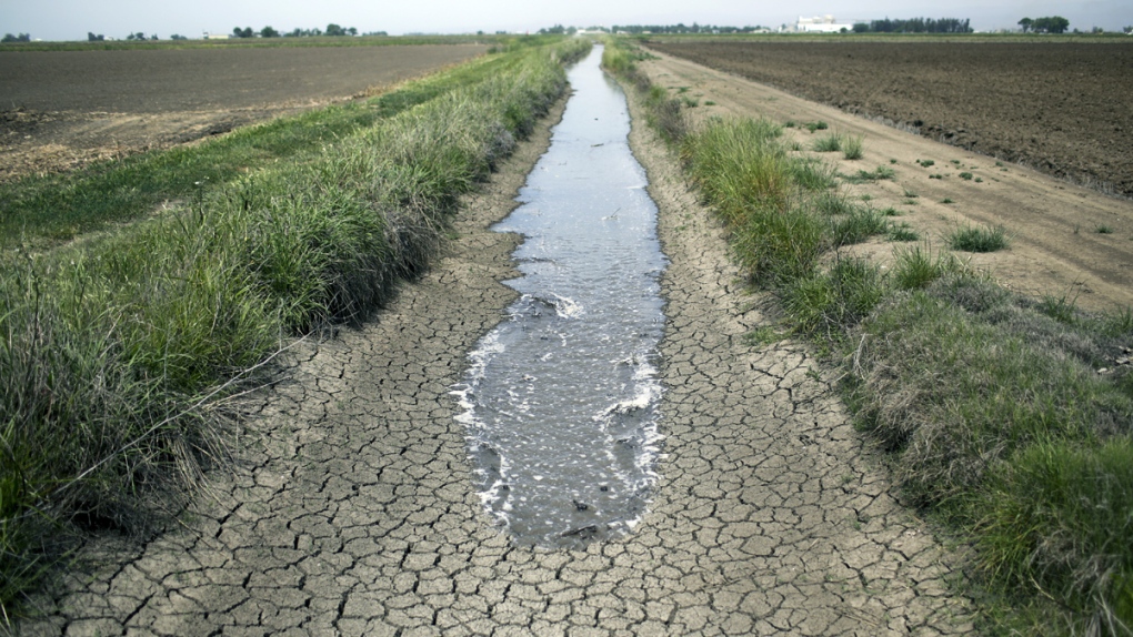 Irrigation water runs in California