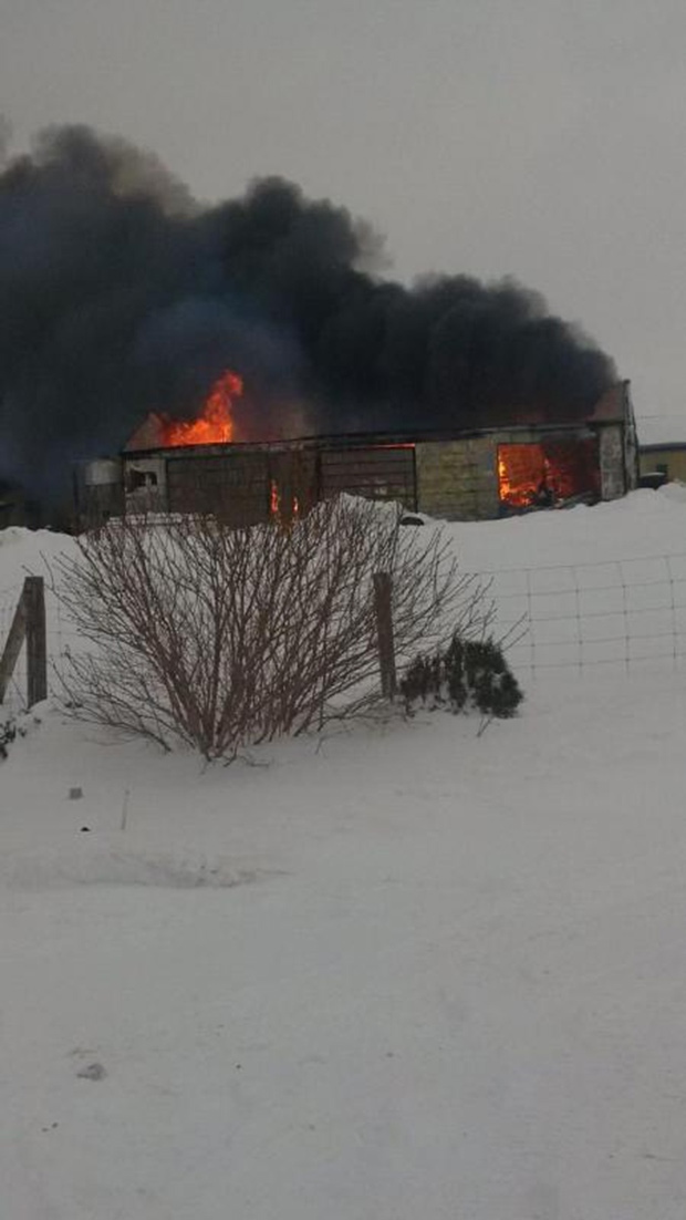 OPP released this photo of a barn fire on Bear Creek Rd. northwest of Ilderton, Ont. on Tuesday, March 3, 2015. 