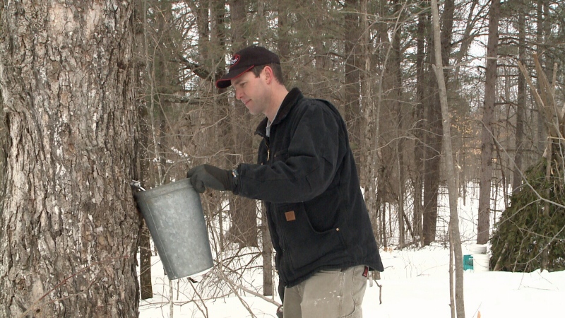 Scott Deugo gets a pail ready for the maple sap run at Fulton's Sugar Bush in Pakenham, Ontario, March 3rd, 2015.