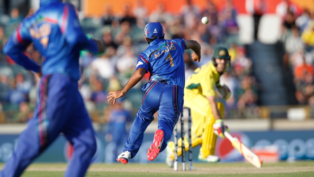 Afghanistan and Australia at the Cricket World Cup