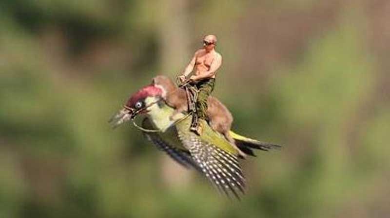 Russian President Vladimir Putin rides a weasel riding a woodpecker in a Photoshopped image uploaded to Twitter. 