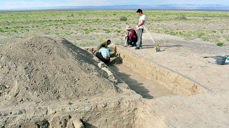 An image of the archaeology dig site. (Image by Japanese-Mongolian joint research team)