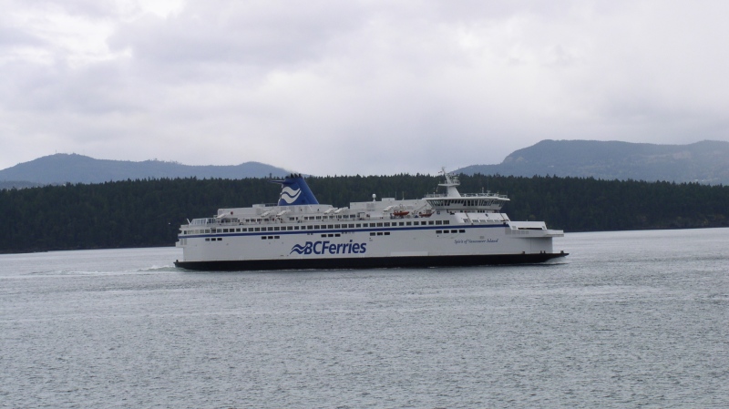 BC Ferries has cancelled sailings amid wind warnings in the Greater Victoria and Southern Gulf Islands regions. 