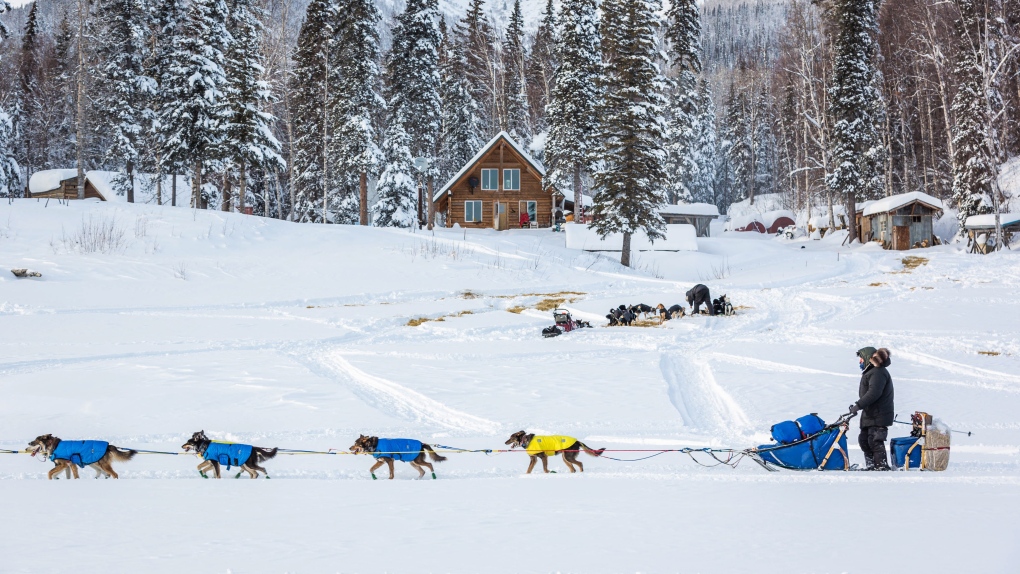  Iditarod Trail Sled Dog Race in Alaska