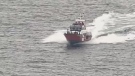 A Griffon helicopter, Buffalo aircraft, hovercraft and Coast Guard vessel were dispatched after a tugboat sank near Sunshine Coast on March 18, 2015. (CTV)