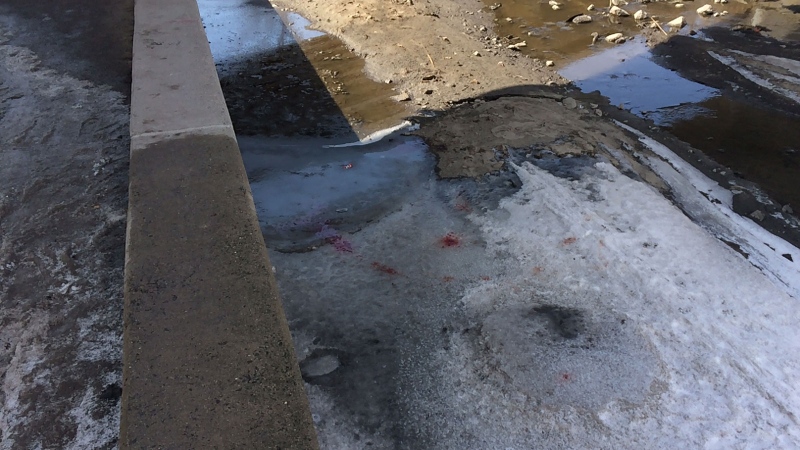 Blood patches are seen on the bed of the Rideau Canal where a cyclist fell off his bicycle from the path on Wednesday,Apr. 1, 2015. The man suffered life threatening head injuries. (CTV Ottawa)