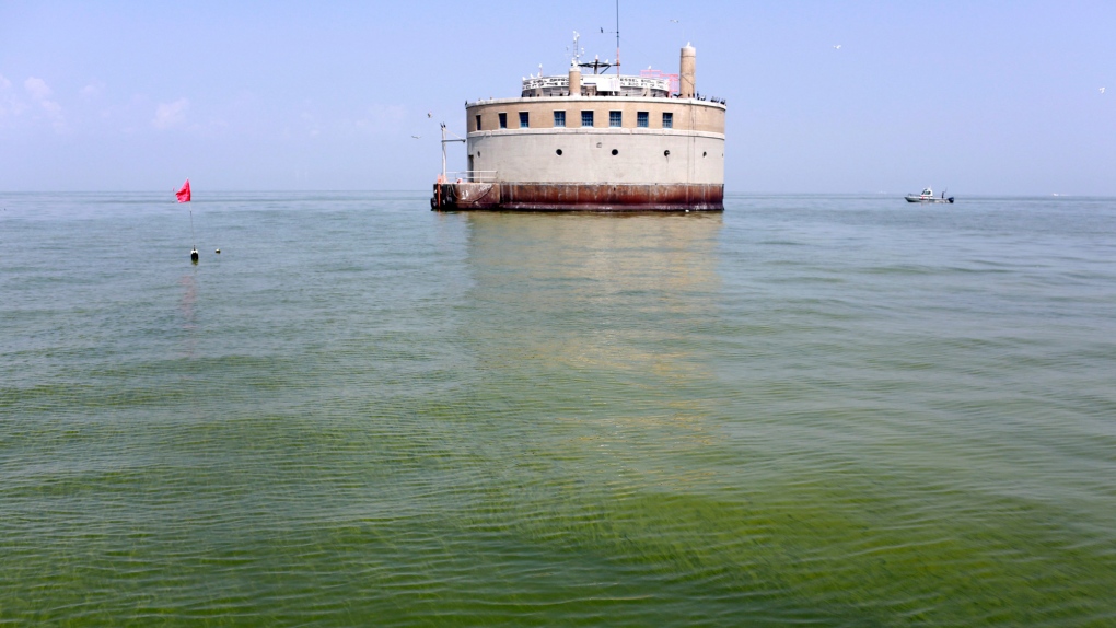 Toxic algae in Lake Erie