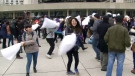 Extended: Torontonians take part in pillow fight