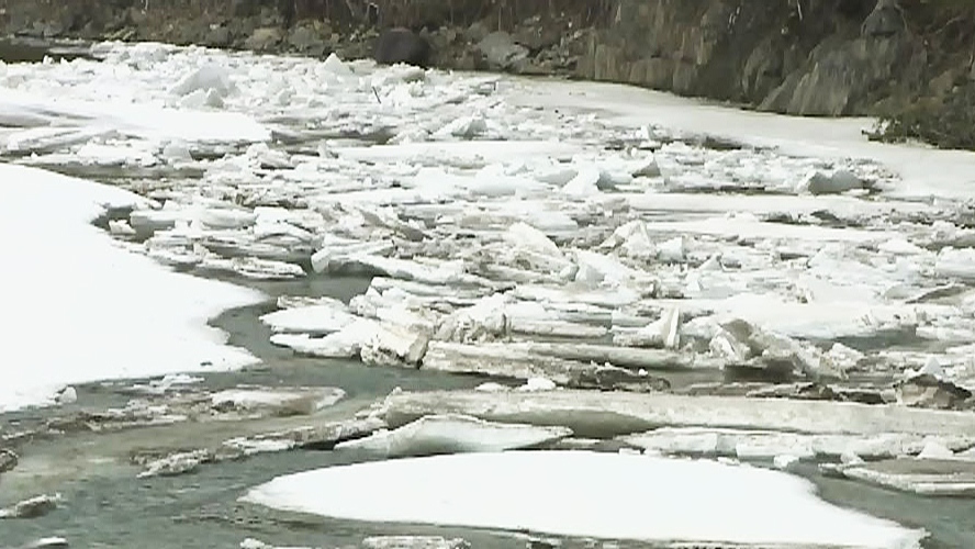 Children fall through ice on St. John River