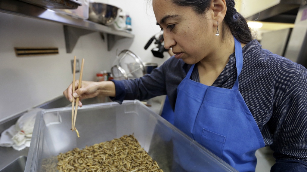 More businesses launching to market edible insects