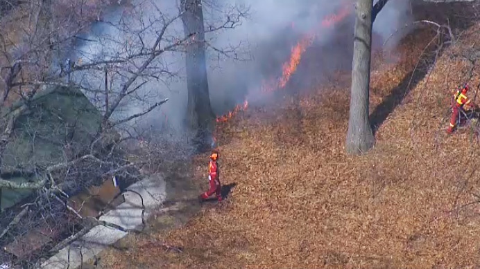 Controlled fires in High Park