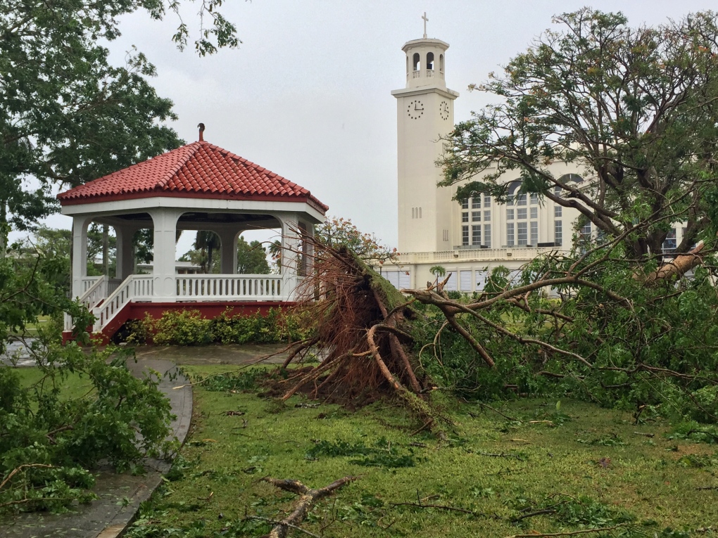 Tree uprooted in Guam by typhoon