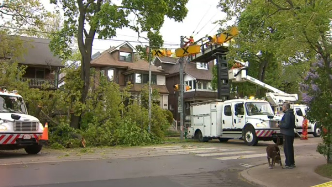 Tree branch knocks out power