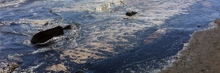 Oil spill off central California coast