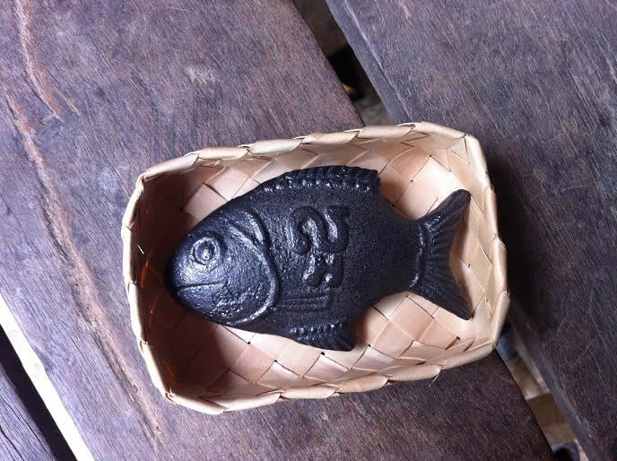 Fish-shaped iron