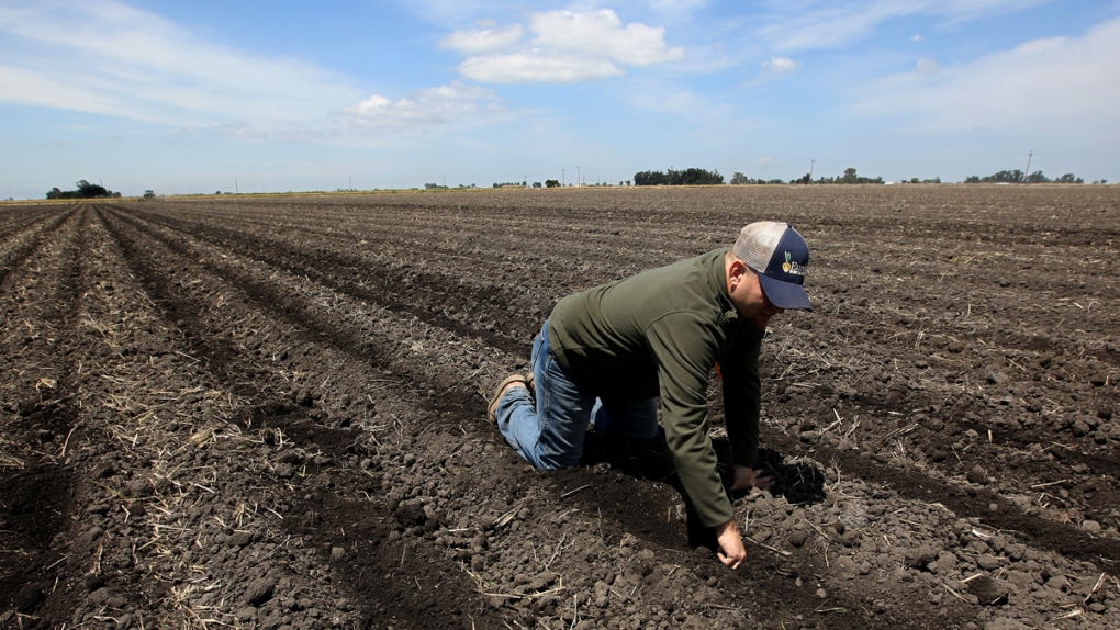 California farmers offer to cut water use