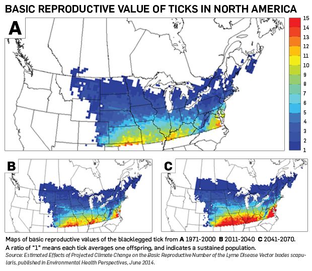 Tick map