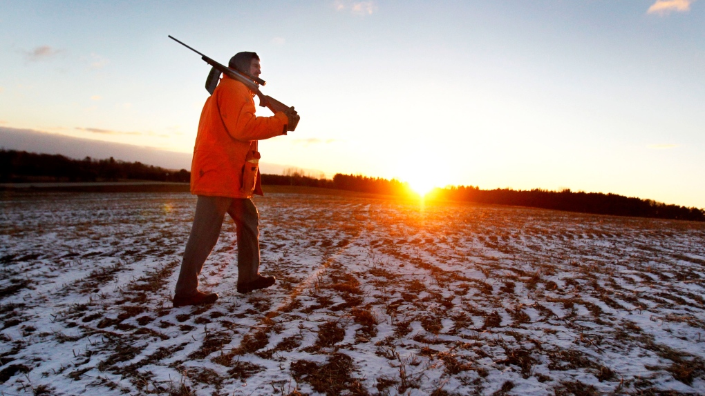 Wisconsin hunters could wear blaze pink in the woo