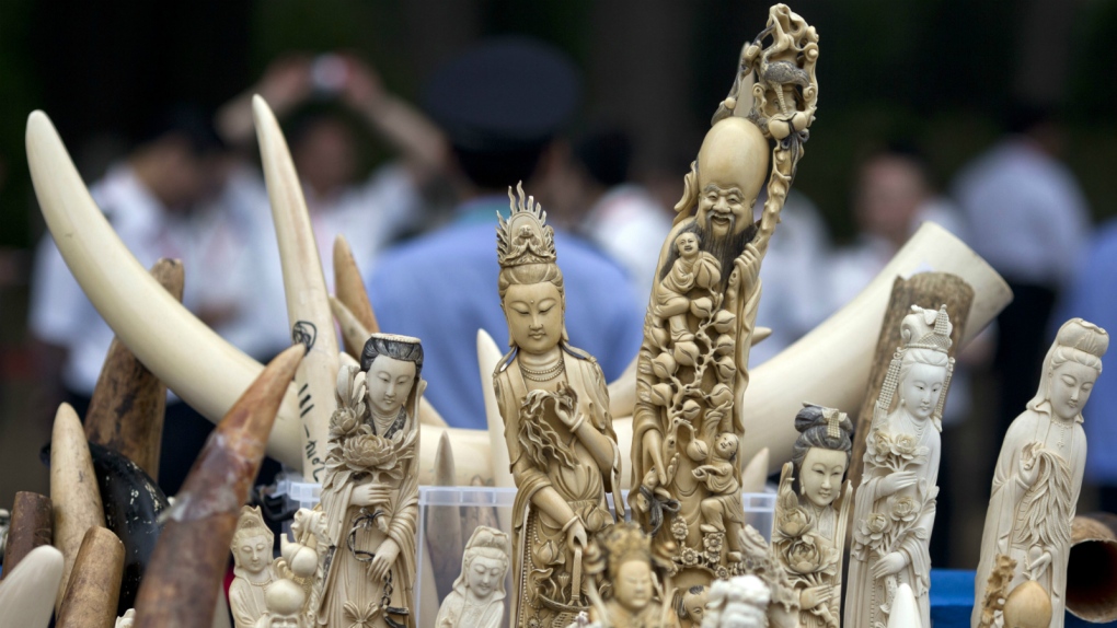 Ivory in China