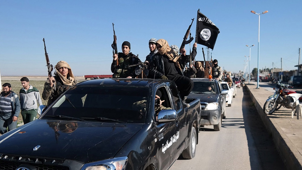 Islamic State militants 