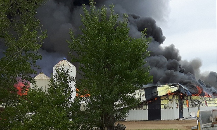 Fire destroys two pig barns near Leroy Sask. on Saturday, June 18. (Courtesy: discoverhumboldt.com) 