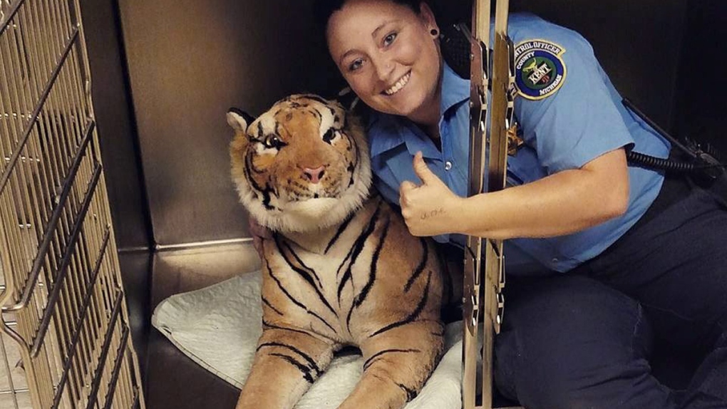 Posing with a stuffed tiger found in Grand Rapids