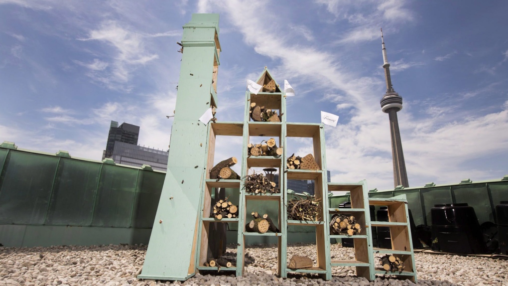 Bee hotels coming to Canada