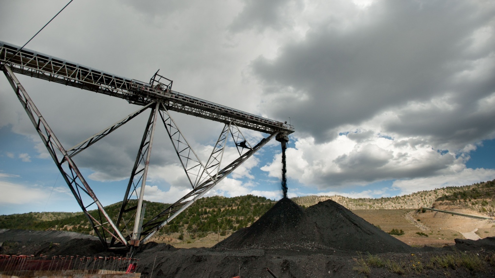 Coal conveyor belt