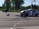 An Ottawa police officer was seriously injured Thursday morning when his vehicle collided with a car near Hazeldean and Huntmar. The driver of the other vehicle suffered hip, spinal and leg injuries. June 4, 2015.