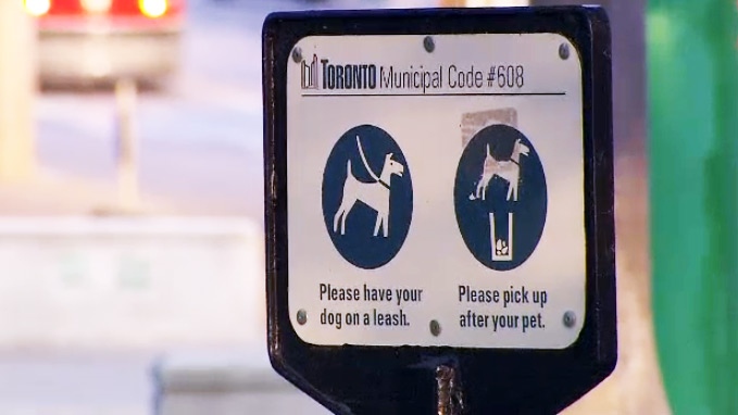 Toronto leash laws