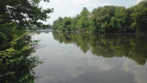 The Grand River in Cambridge is seen in Cambridge in a file photo. (CTV Kitchener)