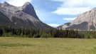 Ha Ling Peak overlooks Canmore and is popular with hikers and outdoor enthusiasts.