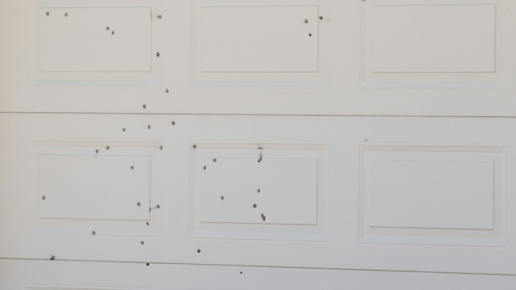 Bullet holes in a garage door where officer killed