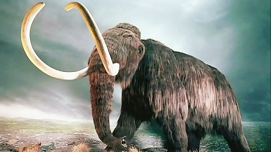 CTV London: Making sense of mammoth mystery