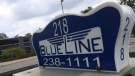 File photo: Blue Line Taxi (Tyler Fleming/CTV Ottawa)