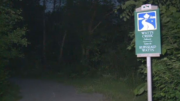 Ottawa Police and paramedics were called to the Watts Creek Pathway where a 29-year-old man was discovered stabbed and slashed on Sunday, June 14, 2015.