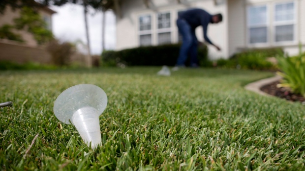 5 Water-saving alternatives to a lawn