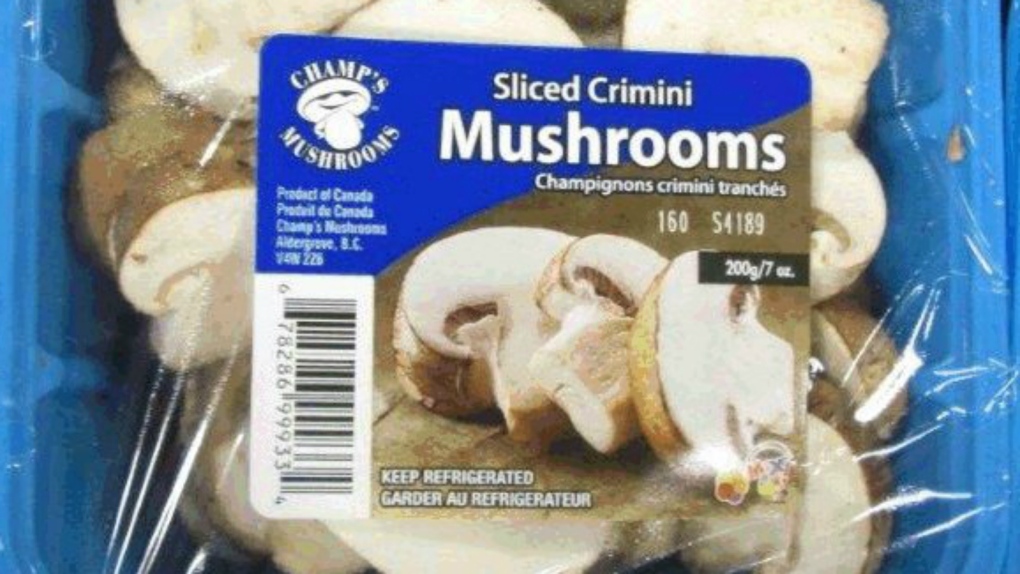 Champ's Mushrooms