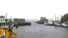 The bodies of three crab fishermen were recovered from the waters of Placentia Bay, N.L. after they were reported missing on Tuesday, June 16, 2015.