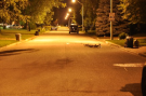LaSalle police are looking for a driver after a fatal hit and run on Huron Street in LaSalle, Ont., on June 18, 2015. (Courtesy LaSalle police)