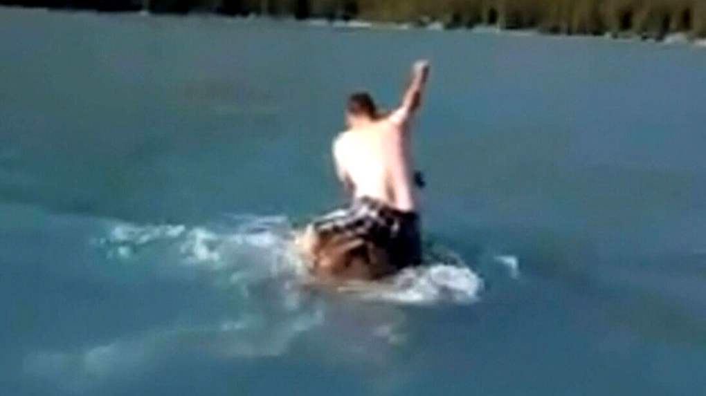Moose riding video surfaces