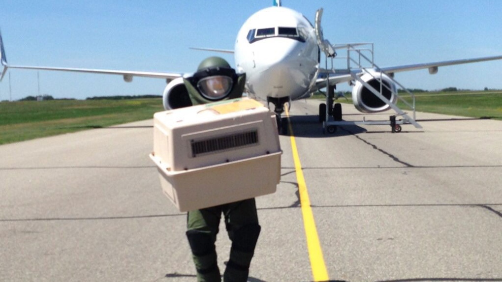Plane diverted to Saskatoon after bomb threat