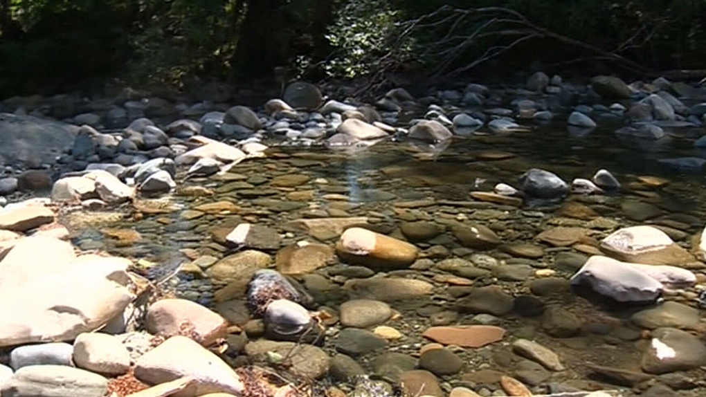 Water levels in Comox Valley lowest on record