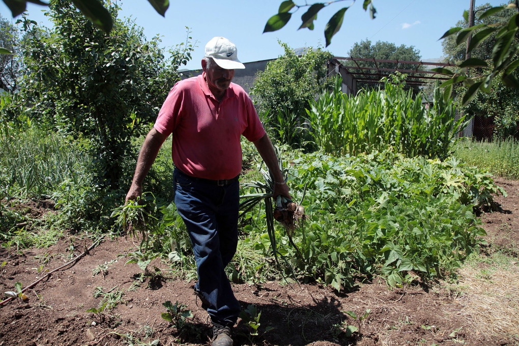 Greeks grow their own food during debt crisis